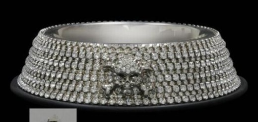 Swarovski-studded-dog-bowl-thumb