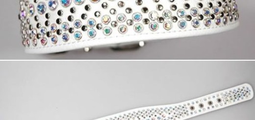 Swarovski_dog_collar